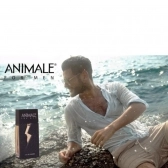 Kit Animale Men Eau De Toialet 100ml + Body 100ml + After 100ml